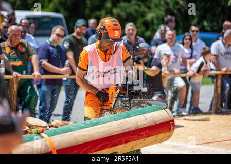 Vinkovci, Hrvatska. 03rd juin 2023. Les journées de la foresterie croate et la compétition nationale de coupe du bois de 13th ont eu lieu cette année dans la plus ancienne ville de Croatie et d'Europe - Vinkovci sur 03. Juin 2023. La concurrence des travailleurs forestiers a lieu conformément aux dispositions strictement prescrites de l'Ordonnance sur la concurrence d'État des travailleurs forestiers et des Bûcherons, harmonisée avec le Règlement de l'organisation internationale qui organise le Championnat mondial des travailleurs forestiers-Bûcherons. Photo: Davor Javorovic/PIXSELL crédit: Pixsell/Alay Live News Banque D'Images