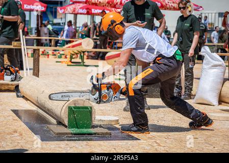 Vinkovci, Hrvatska. 03rd juin 2023. Les journées de la foresterie croate et la compétition nationale de coupe du bois de 13th ont eu lieu cette année dans la plus ancienne ville de Croatie et d'Europe - Vinkovci sur 03. Juin 2023. La concurrence des travailleurs forestiers a lieu conformément aux dispositions strictement prescrites de l'Ordonnance sur la concurrence d'État des travailleurs forestiers et des Bûcherons, harmonisée avec le Règlement de l'organisation internationale qui organise le Championnat mondial des travailleurs forestiers-Bûcherons. Photo: Davor Javorovic/PIXSELL crédit: Pixsell/Alay Live News Banque D'Images