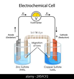 Schéma pédagogique du diagramme montrant le concept de physique de la cellule électrochimique Illustration de Vecteur