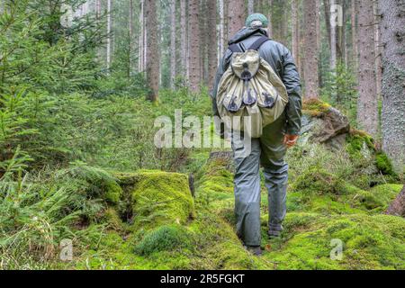 Un randonneur dans son équipement de pluie, le protégeant de l'humidité, marche à travers la forêt. Banque D'Images