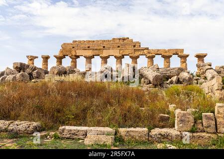 Acropole de Selinus. Temple C. Parco Archeologico, Selinunte à Castelvetran, Sicile, Italie. Banque D'Images