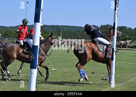 Brezina, République tchèque. 03rd juin 2023. L'édition 17th du tournoi international de polo a eu lieu à 3 juin 2023, à la ferme de la Noe à Brezina, dans la région de Moravie du Sud, en République tchèque. Crédit: Vaclav Salek/CTK photo/Alay Live News Banque D'Images