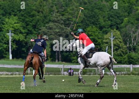 Brezina, République tchèque. 03rd juin 2023. L'édition 17th du tournoi international de polo a eu lieu à 3 juin 2023, à la ferme de la Noe à Brezina, dans la région de Moravie du Sud, en République tchèque. Crédit: Vaclav Salek/CTK photo/Alay Live News Banque D'Images