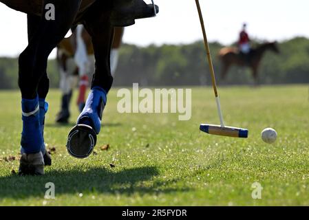 Brezina, République tchèque. 03rd juin 2023. L'édition 17th du tournoi international de polo a eu lieu à 3 juin 2023, à la ferme de la Noe à Brezina, dans la région de Moravie du Sud, en République tchèque. Crédit: Vaclav Salek/CTK photo/Alay Live News Banque D'Images