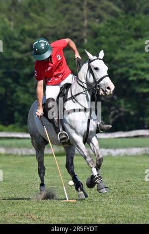 Brezina, République tchèque. 03rd juin 2023. L'édition 17th du tournoi international de polo a eu lieu à 3 juin 2023, à la ferme de la Noe à Brezina, dans la région de Moravie du Sud, en République tchèque. Crédit: Vaclav Salek/CTK photo/Alay Live News Banque D'Images