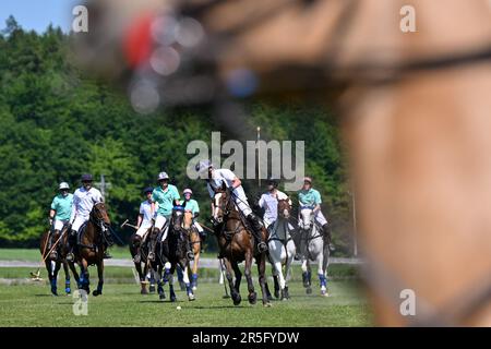 Brezina, République tchèque. 03rd juin 2023. L'édition 17th du tournoi international de polo a eu lieu à 3 juin 2023, à la ferme de la Noe à Brezina, dans la région de Moravie du Sud, en République tchèque. Crédit: Vaclav Salek/CTK photo/Alay Live News Banque D'Images