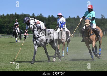 Brezina, République tchèque. 03rd juin 2023. L'édition 17th du tournoi international de polo a eu lieu à 3 juin 2023, à la ferme de la Noe à Brezina, dans la région de Moravie du Sud, en République tchèque. Crédit: Vaclav Salek/CTK photo/Alay Live News Banque D'Images