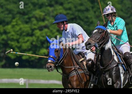 Brezina, République tchèque. 03rd juin 2023. L'édition 17th du tournoi international de polo a eu lieu à 3 juin 2023, à la ferme de la Noe à Brezina, dans la région de Moravie du Sud, en République tchèque. Crédit: Vaclav Salek/CTK photo/Alay Live News Banque D'Images