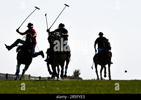 Brezina, République tchèque. 03rd juin 2023. L'édition 17th du tournoi international de polo a eu lieu à 3 juin 2023, à la ferme de la Noe à Brezina, dans la région de Moravie du Sud, en République tchèque. Crédit: Vaclav Salek/CTK photo/Alay Live News Banque D'Images