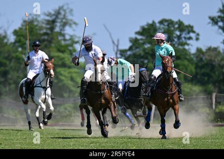 Brezina, République tchèque. 03rd juin 2023. L'édition 17th du tournoi international de polo a eu lieu à 3 juin 2023, à la ferme de la Noe à Brezina, dans la région de Moravie du Sud, en République tchèque. Crédit: Vaclav Salek/CTK photo/Alay Live News Banque D'Images