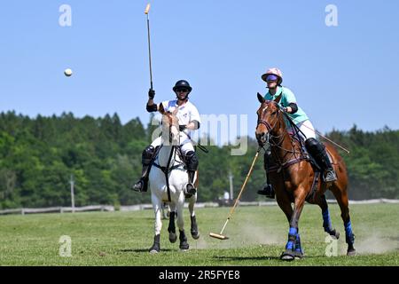 Brezina, République tchèque. 03rd juin 2023. L'édition 17th du tournoi international de polo a eu lieu à 3 juin 2023, à la ferme de la Noe à Brezina, dans la région de Moravie du Sud, en République tchèque. Crédit: Vaclav Salek/CTK photo/Alay Live News Banque D'Images