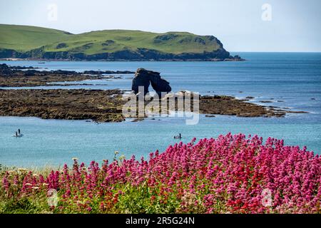 03.06.23. TEMPS DE DEVON. Les gens peuvent profiter du temps chaud en face de Thurlestone Rock à South Milton Sands dans South Devon aujourd'hui comme temperatu Banque D'Images