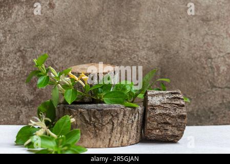 Podium en bois pour la conception de vos produits à partir d'ingrédients naturels, mockup Banque D'Images