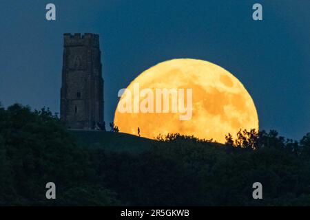 Glastonbury, Somerset, Royaume-Uni. 3rd juin 2023. Météo Royaume-Uni. La pleine lune de la baie de Strawberry remonte derrière la tour St Michael's sur Glastonbury Tor dans le Somerset tandis qu'une foule de personnes se rassemblent sur la colline pour observer. Crédit photo : Graham Hunt/Alamy Live News Banque D'Images