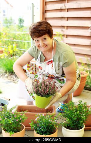 Femme âgée de replanter des fleurs pour une meilleure croissance Banque D'Images