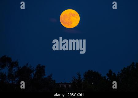 Londres, Royaume-Uni. 3 juin 2023. Météo au Royaume-Uni – la pleine Strawberry Moon s'élève au-dessus de Wembley, dans le nord-ouest de Londres. La pleine lune de juin, selon l'Almanac de l'Old Farmer, est si nommée qu'elle a été le signal pour les tribus algonquines amérindiennes de récolter des fraises sauvages. L'arche du Wembley Stadium a été éclairée en bleu pour reconnaître la victoire de Manchester City sur Manchester United lors de la finale de la coupe FA plus tôt. Généralement, lorsque Manchester City gagne un match, les fans célèbrent en jouant la chanson ‘Blue Moon’. Credit: Stephen Chung / Alamy Live News Banque D'Images