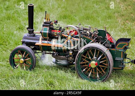 Toy traction Engine au salon Rudwick Steam Banque D'Images