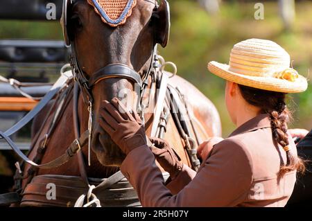 Femme et cheval, conduite, tension du sein, deux dans la main, clignotants Banque D'Images