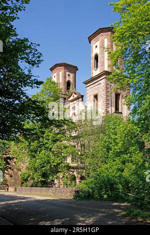 Ruines du monastère de Frauenalb, municipalité du Marxzell, district de Karlsruhe, Bade-Wurtemberg, Allemagne Banque D'Images
