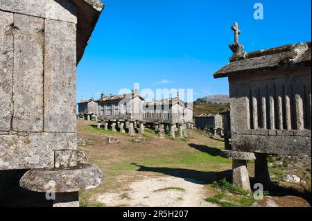 Espigueiros, Lindoso, Parc national de Peneda Geres, Minho, Portugal, greniers, magasins de céréales Banque D'Images