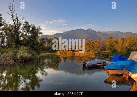 Bateaux, Bolle di Magadino, Tessin, Suisse Banque D'Images