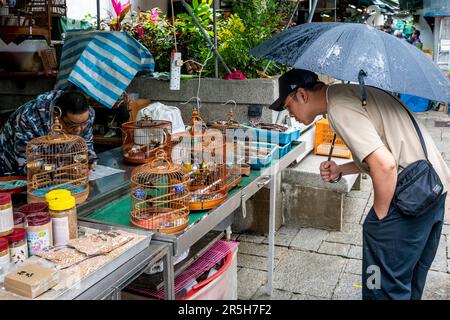 Un homme regardant les oiseaux de cage au marché aux oiseaux de Hong Kong (marché aux oiseaux de la rue Yuen po), Kowloon, Hong Kong, Chine. Banque D'Images