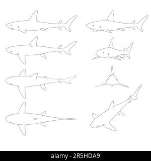 Définir les contours d'un requin dans différentes positions par rapport aux lignes noires isolées sur un fond blanc. Illustration vectorielle. Illustration de Vecteur