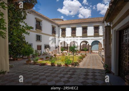 Musée archéologique et ethnologique de Cordoue Cour - Cordoue, Andalousie, Espagne Banque D'Images