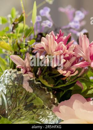Gros plan d'un vase Vintage Crystal plein de fleurs colorées fraîchement coupées de rose, blanc et violet, parfumé et divin, d'un jardin fleuri d'automne Banque D'Images