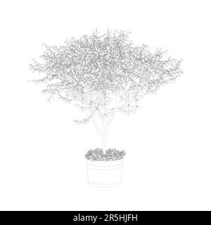 Contour d'un petit arbre décoratif dans un pot à partir de lignes noires isolées sur un fond blanc. Illustration vectorielle. Illustration de Vecteur