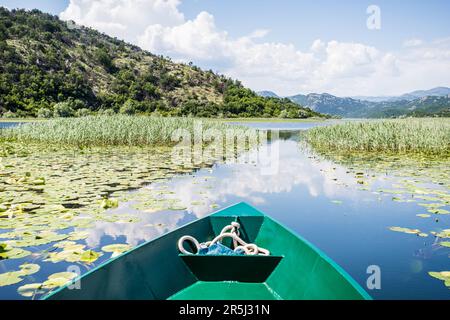 Les lilas décomposent le miroir comme des reflets des nuages et des montagnes sur la rivière Crnojevica au lac Skadar au Monténégro. Banque D'Images