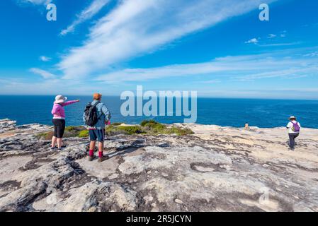 Les gens se trouvent au sommet de falaises abruptes le long de la piste côtière, au sud de Bundeena près de Sydney, en Australie, à la recherche de baleines en migration Banque D'Images