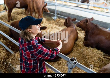 Femme agriculteur dans une ferme laitière Banque D'Images