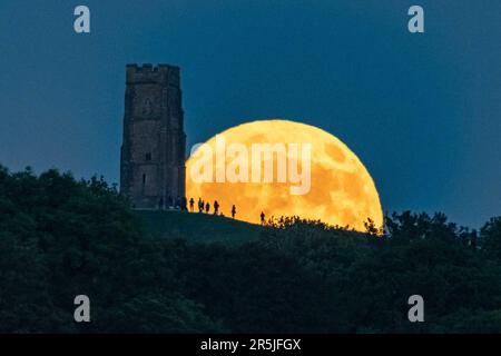 Glastonbury, Somerset, Royaume-Uni. 3rd juin 2023. Météo Royaume-Uni. La pleine lune de la baie de Strawberry remonte derrière la tour St Michael's sur Glastonbury Tor dans le Somerset tandis qu'une foule de personnes se rassemblent sur la colline pour observer. Crédit photo : Graham Hunt/Alamy Live News Banque D'Images