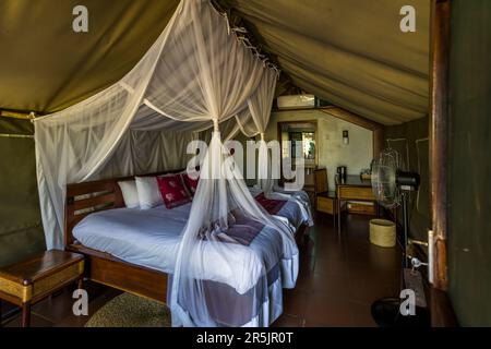 Deux lits drapés de baldaquins en moustiquaire blanche se trouvent à l'intérieur d'un chalet sous tente à la Thawale Tented Lodge dans la réserve animale de Majete, au Malawi. Le lodge compte huit chalets sous tente et deux chalets familiaux. Banque D'Images