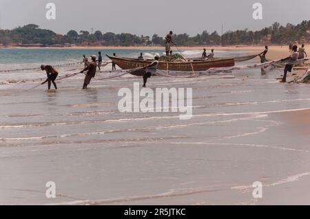 Pêcheurs tirant dans les prises de jours, Freetown Sierra Leone. Banque D'Images