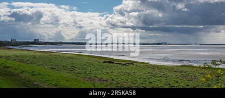 Vue sur la rivière Severn depuis les quais de Sharpness, avec la centrale nucléaire désaffectée de Berkeley et Oldbury Magnox et les ponts Severn Crossing, Banque D'Images