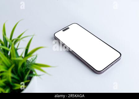 Maquette de téléphone sur bureau blanc. Écran isolé pour la présentation de la conception d'applications. Plante avec des feuilles vertes à côté Banque D'Images
