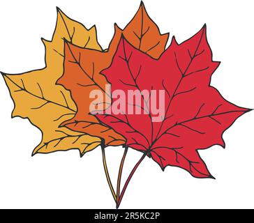 Trois feuilles d'érable de différentes couleurs d'automne rouge, orange et jaune. Éléments botaniques dessinés à la main isolés sur fond blanc Illustration de Vecteur