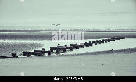 Gotyne en bois sur une plage vide à Blackpool Banque D'Images