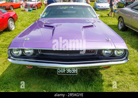 Violet vintage Dodge Challenger essence coupé 1970 70s américain Dodge Challenger au salon automobile classique d'époque Capesthorne Hall CH Banque D'Images