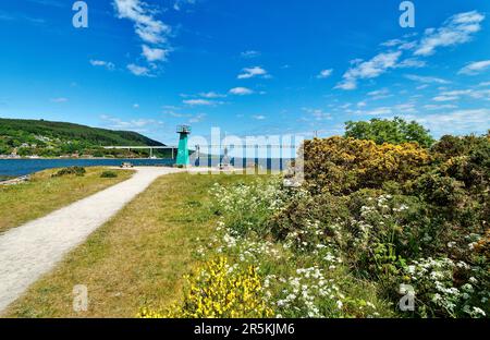 Inverness Scotland Green Lighthouse à Carnac point le pont Kessock Road Bridge et le Broom jaune fleurs et le persil blanc Anthriscus sylvestris dans ea Banque D'Images