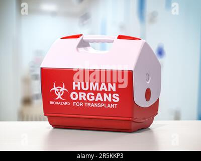 Orgue humain pour boîte de réfrigérateur de transplantation. 3d illustration Banque D'Images