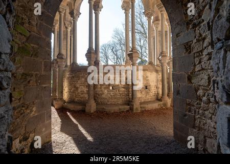 Les ruines du monastère Heisterbach Königswinter par Bonn Banque D'Images