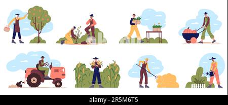Les agriculteurs travaillent. Les gens qui se trouvent dans les vêtements de travail ramassent les pommes. Culture de plantes. Arbres fruitiers dans le verger. Homme arrosant le jardin et labour le champ. Tracteur et Illustration de Vecteur