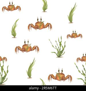 Aquarelle sous-marine motif sans couture de crabes de dessins animés bruns, algues vertes isolées sur fond blanc. Illustration peinte à la main pour la conception Banque D'Images