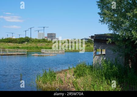 Cachette d'oiseaux et lac à Greenwich Peninsula Ecology Park, Londres, Royaume-Uni Banque D'Images