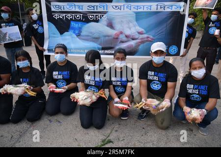 Kolkata, Inde. 04th juin 2023. Les militants des droits des animaux tiennent des animaux morts et une bannière pendant qu'ils célèbrent une cérémonie commémorative pour commémorer les animaux qui ont perdu la vie l'année dernière par des humains. (Photo de Dipayan Bose/SOPA Images/Sipa USA) crédit: SIPA USA/Alay Live News Banque D'Images