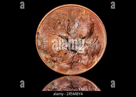 Une pièce de 2 pence endommagée qui a des cloques sur le côté opposé Banque D'Images