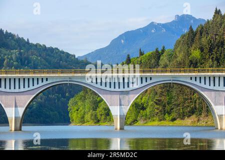 Viaduc de Poiana Teiului et montagne de Ceahlau, Roumanie. Banque D'Images